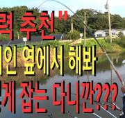 "강력 추천" 현지인 옆에서 해봐 이렇게 잡…