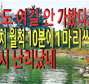 아직도 여길 안 가봤다고??? 8치 9치 월…