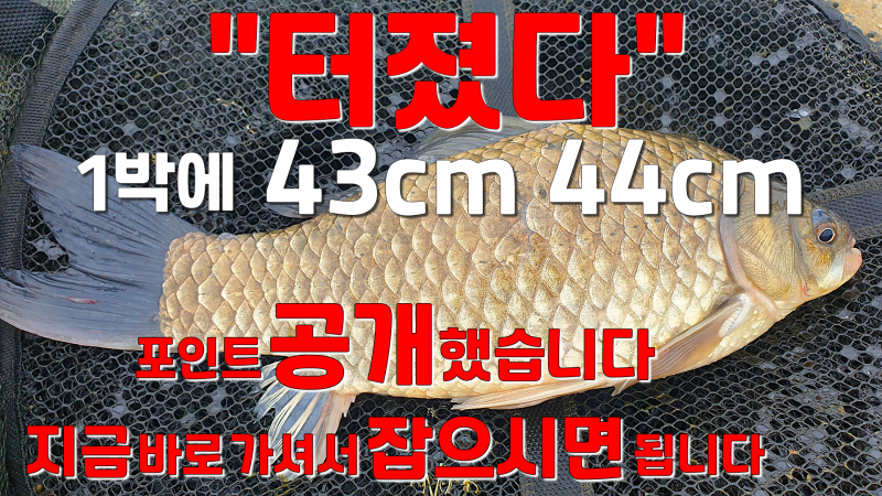 04507b627f669a4852cc332e6a9e2450_1747743918_623.png